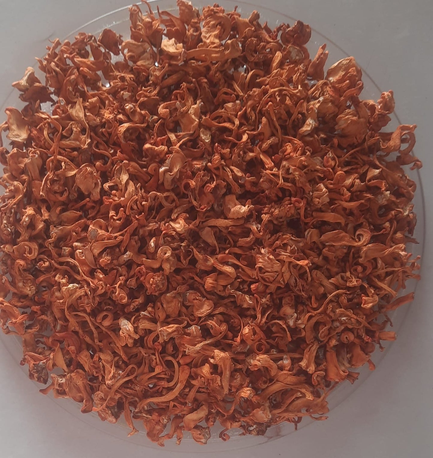 Dried Cordyceps Militaris Mushroom