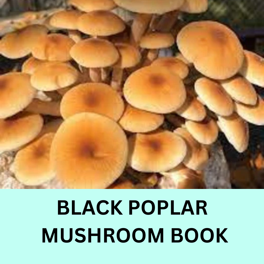 Black Poplar Mushroom Cultivation Book