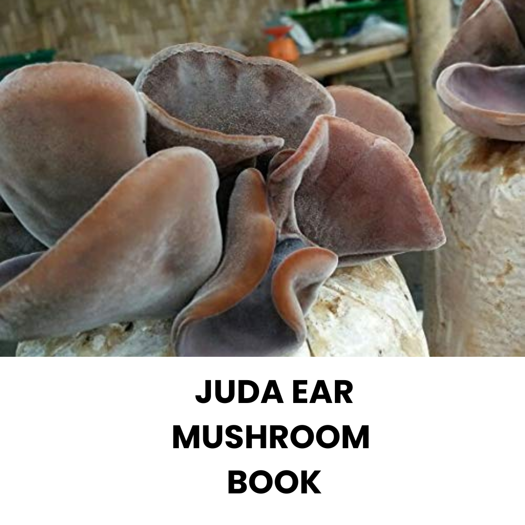 Juda Ear Mushroom Cultivation Booklet
