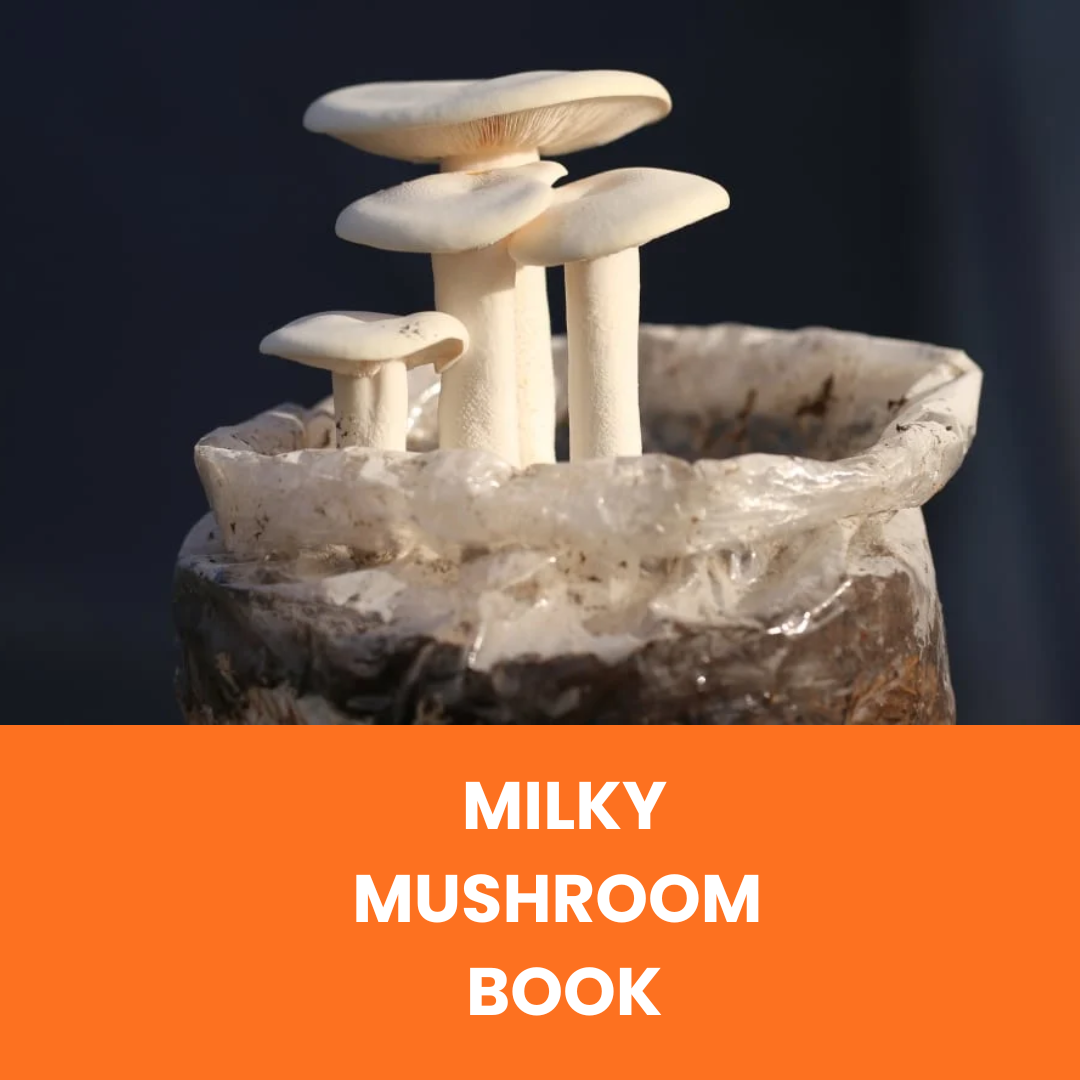 Milky Mushroom Cultivation Booklet