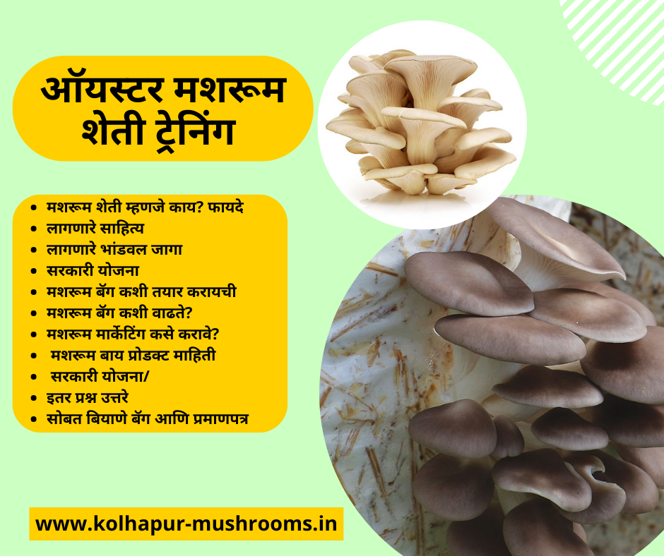एक दिवसाचे धिंगरी मश्रूम प्रशिक्षण | टीकेट