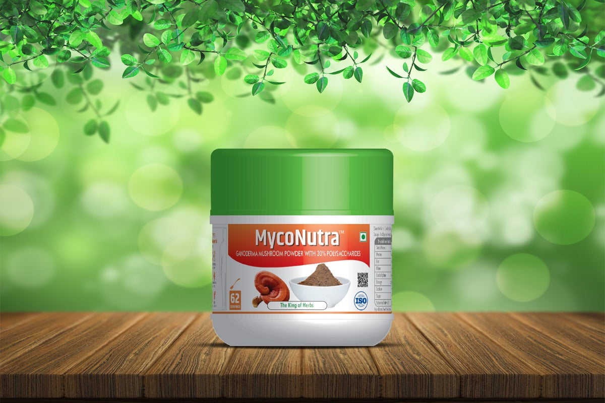 Ganoderma Mushroom Powder
