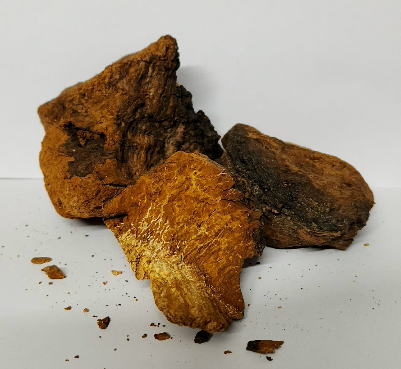 Dried Chaga Mushroom