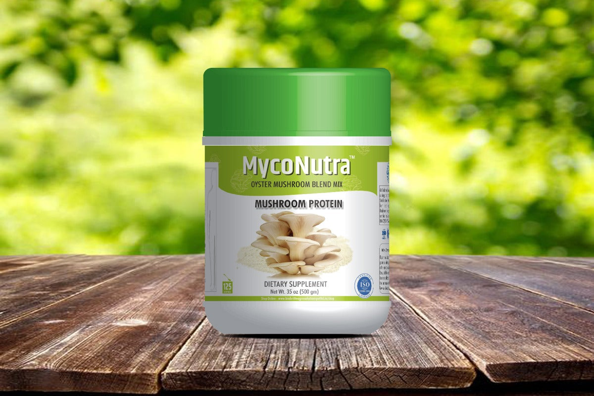 Oyster Mushroom Fine Powder