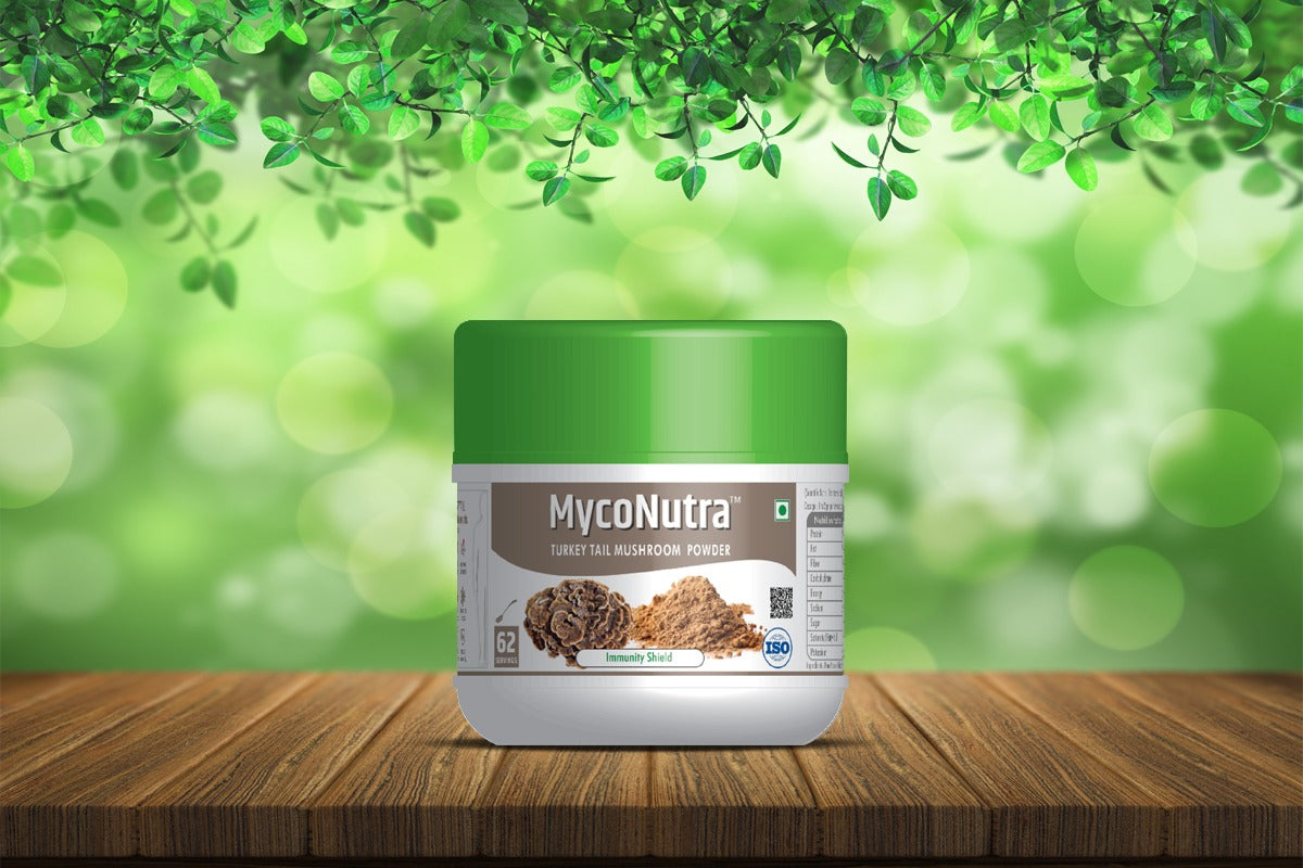Turkey Tail Mushroom Powder