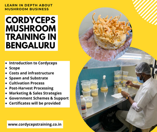 Cordyceps Militaris Mushroom Practical Training (2 Days Location: Bangalore)
