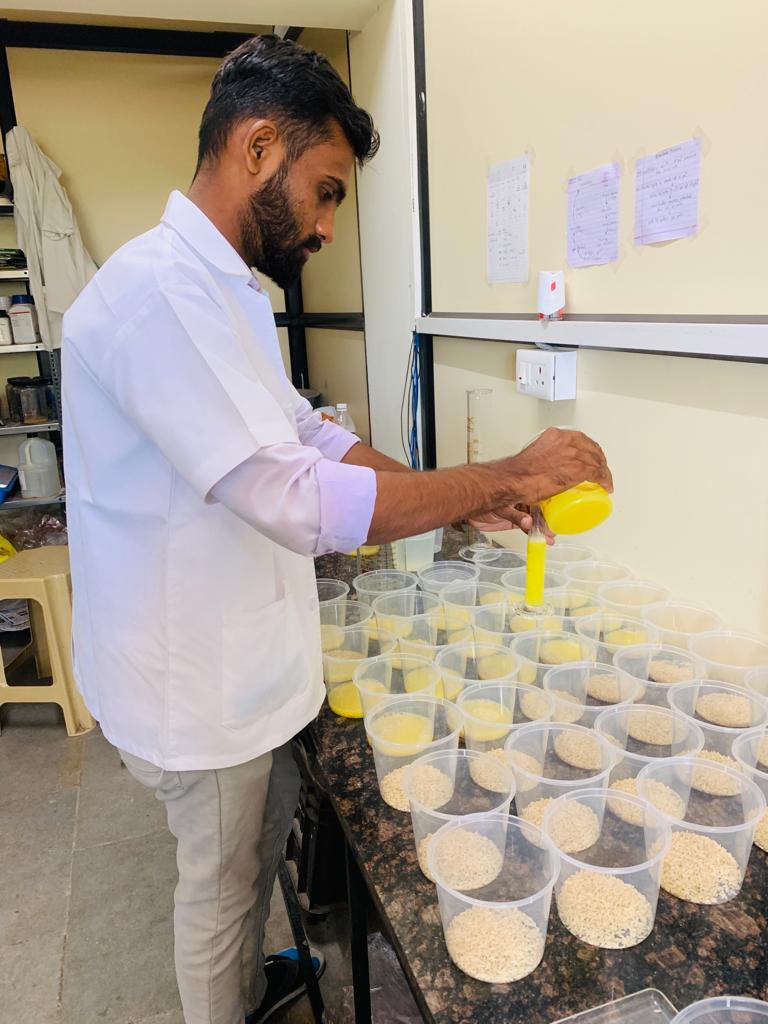 Cordyceps Militaris Mushroom Practical Training (2 Days Location: Bangalore)