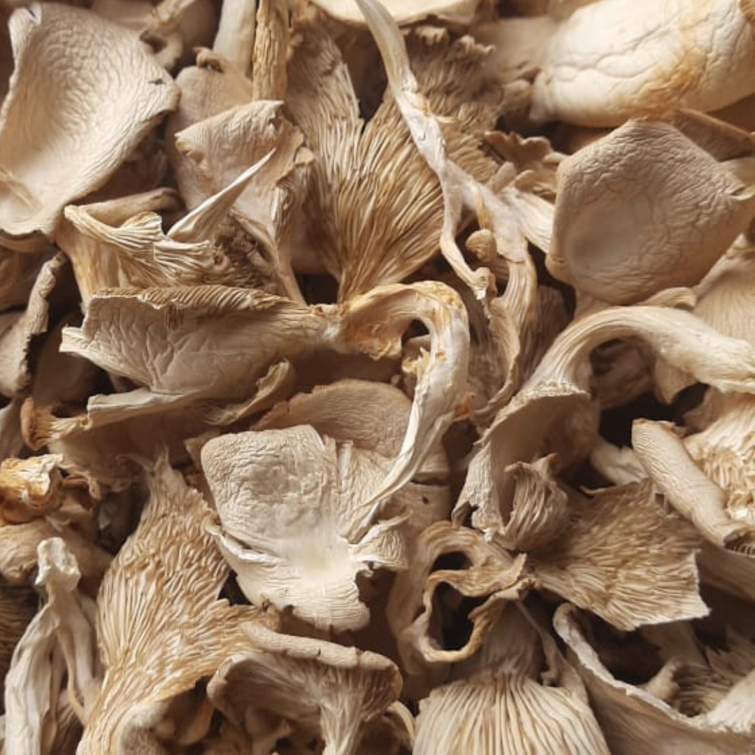 Dried Oyster Mushrooms