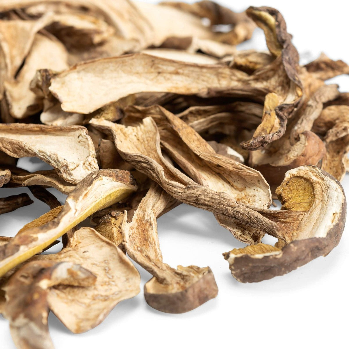 Dried Porcini Mushroom MOQ 5 Kg